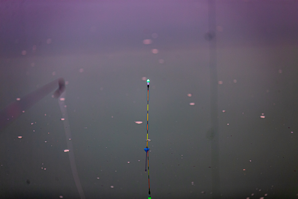 ±ÃÆò-17.jpg