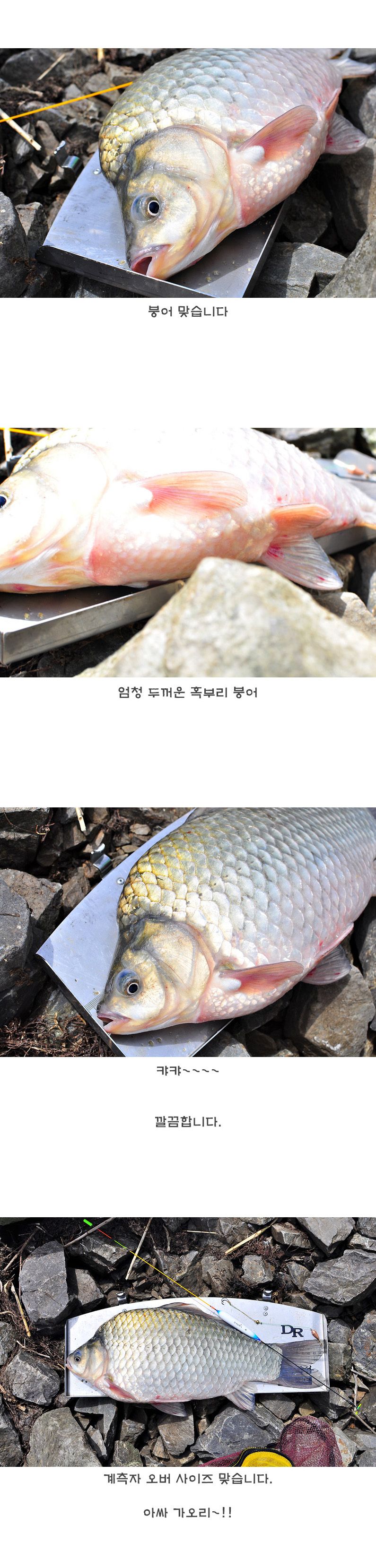 õ���� 2������ 4¥ - 10.jpg