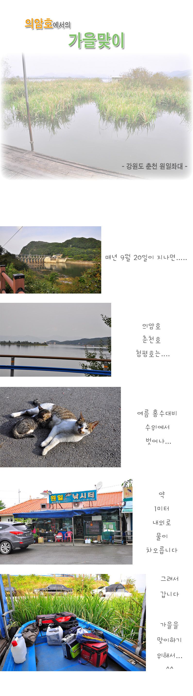 ���ϳ����� - 01.jpg