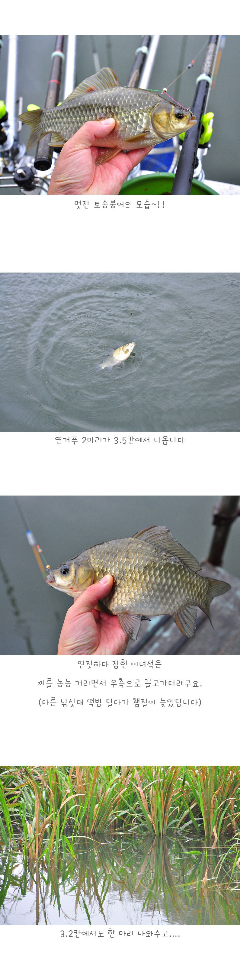 ���ϳ����� - 11.jpg