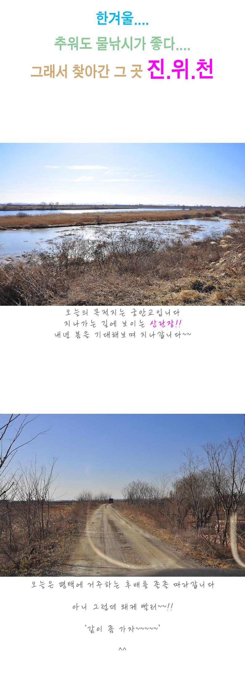 ����õ  - 01.jpg