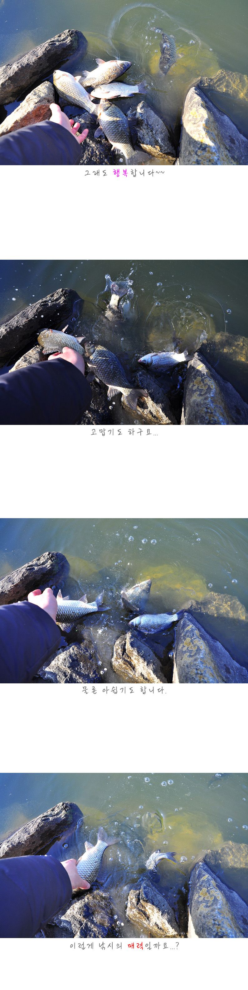����õ  - 15.jpg
