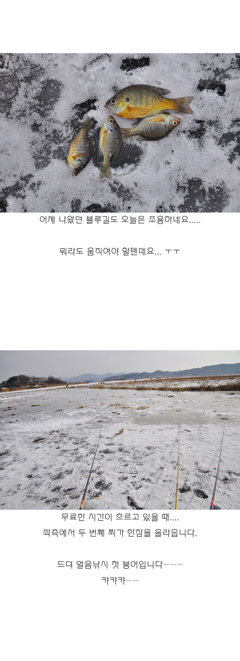 ���� - 07.jpg