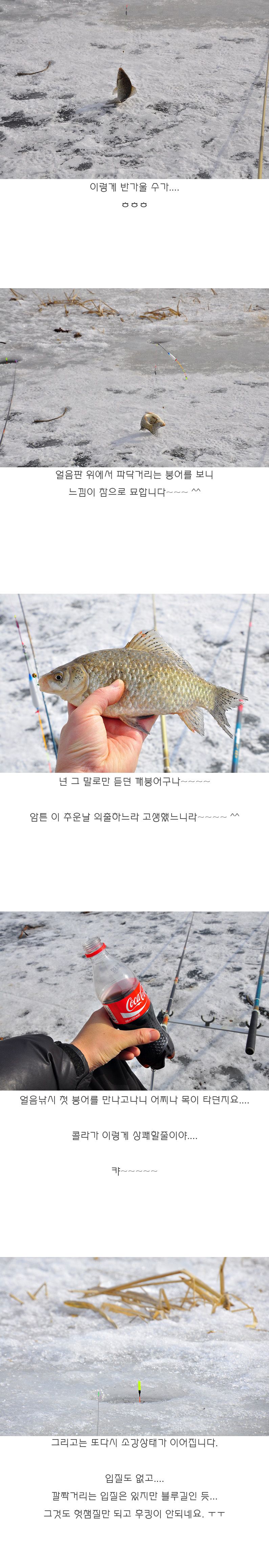 ���� - 08.jpg