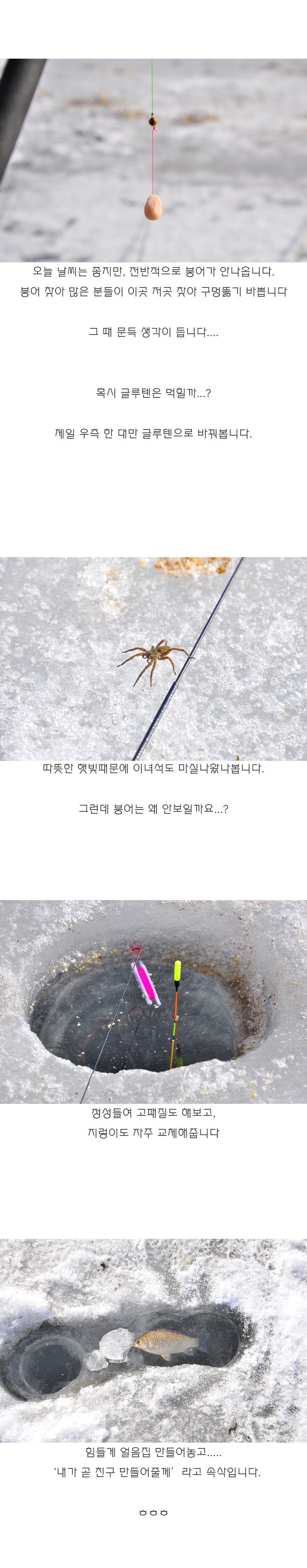 ���� - 09.jpg