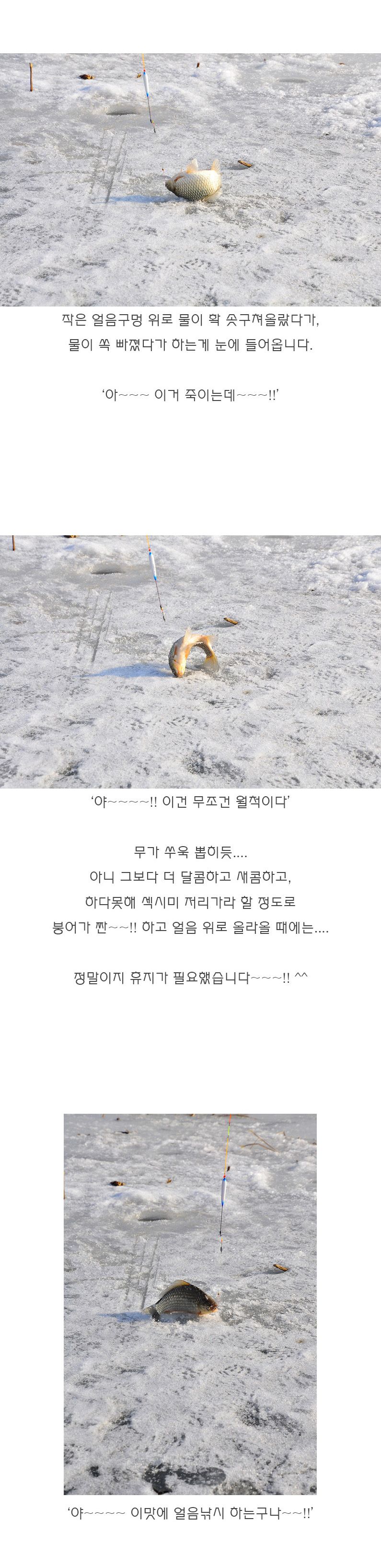 ���� - 12.jpg