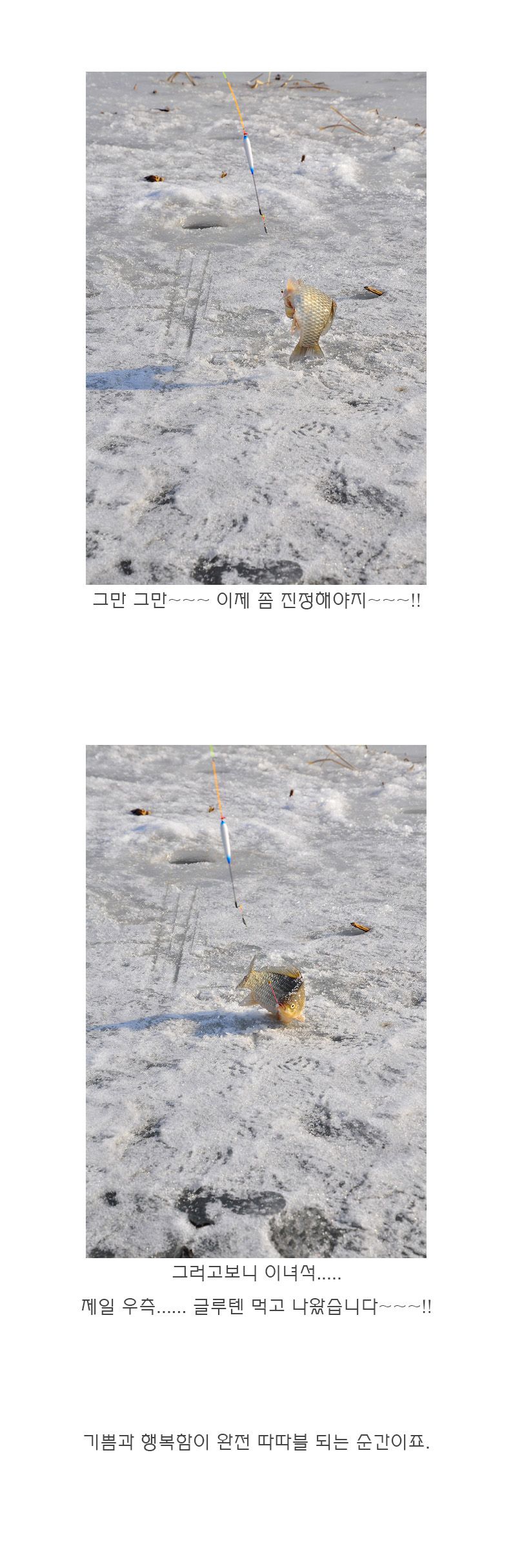 ���� - 13.jpg