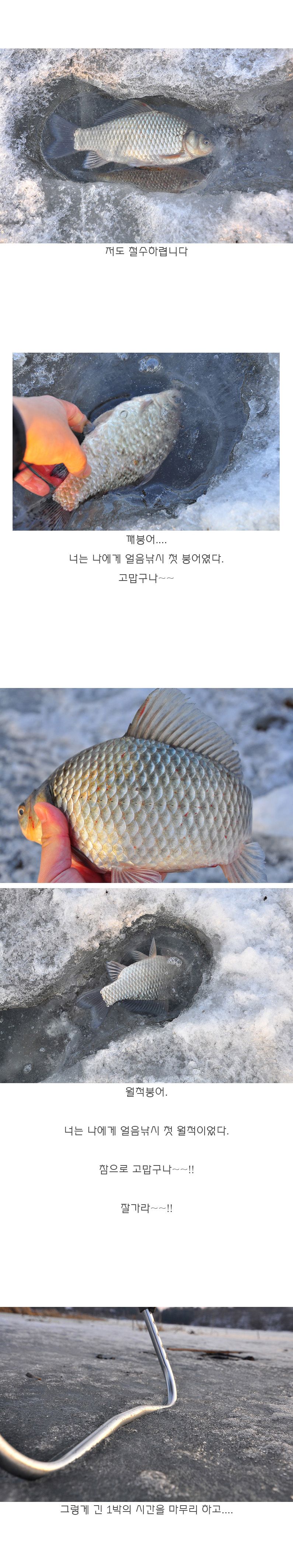 ���� - 15.jpg