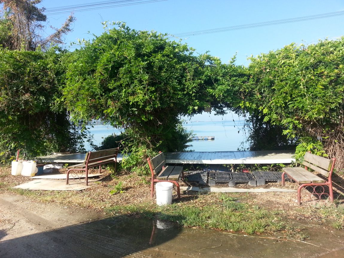 20150906_083733.jpg