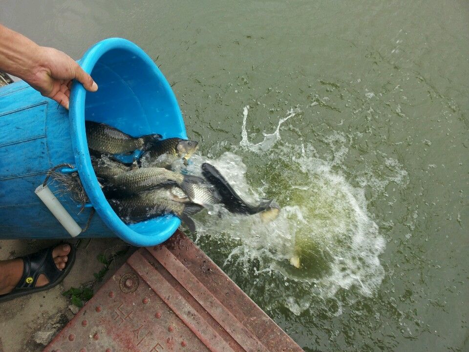 1442032165204.jpeg