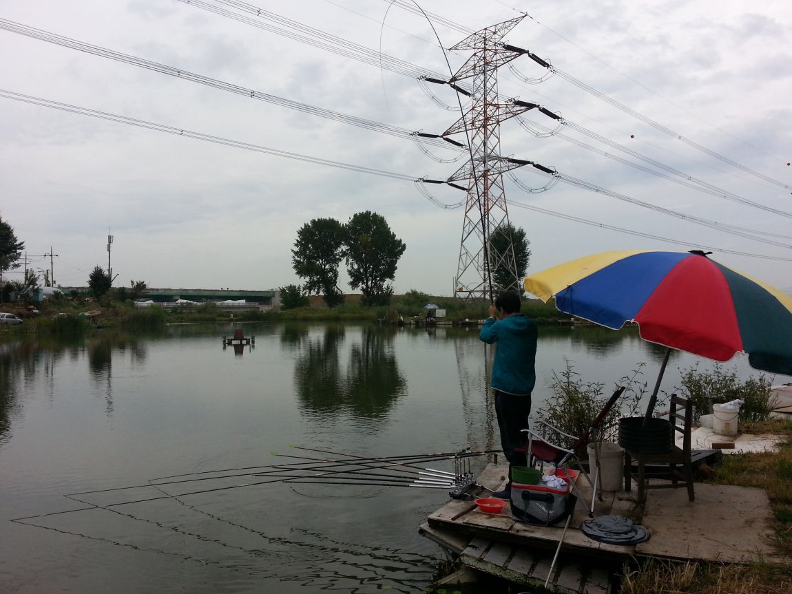20150912_104453.jpg
