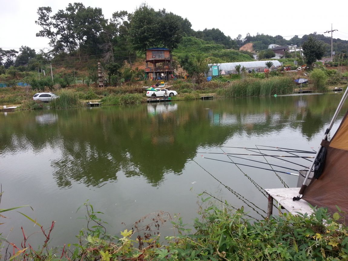 20150912_121943.jpg