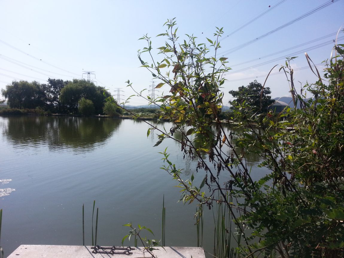 20150913_095459.jpg