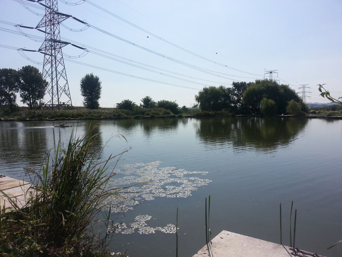20150913_095502.jpg