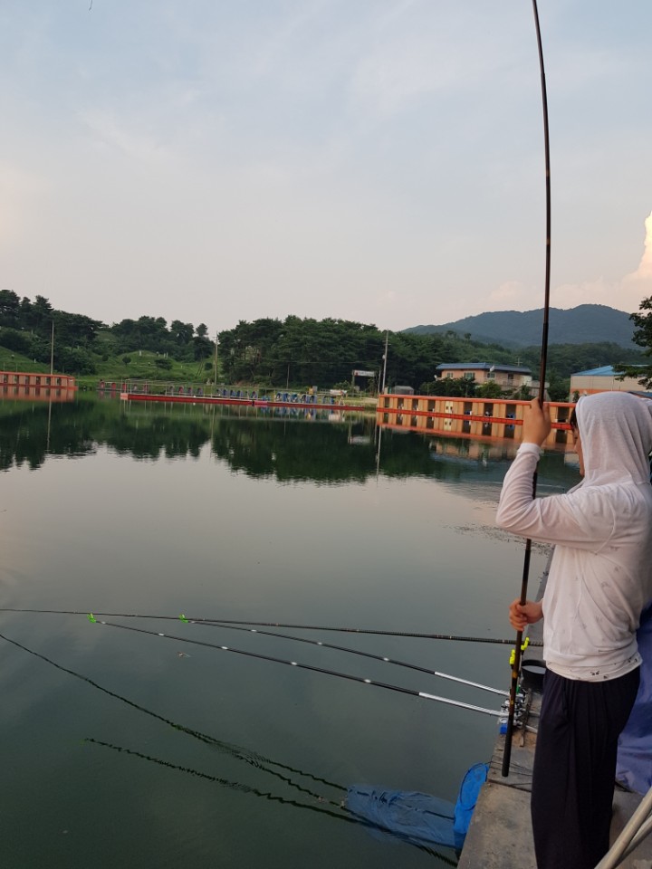 2017년 8월 4~5일 조황정보 : 낚시사랑