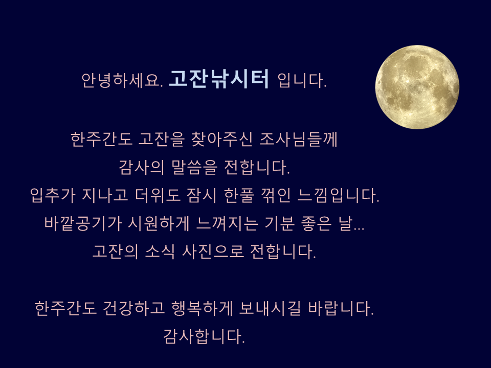 고잔낚시터 지난주 소식 전합니다.  : 낚시사랑