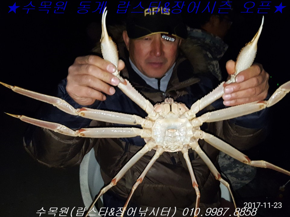 수목원 랍스타낚시  11월 23일(목) 러시아 대게 이벤트조황 @@  : 낚시사랑