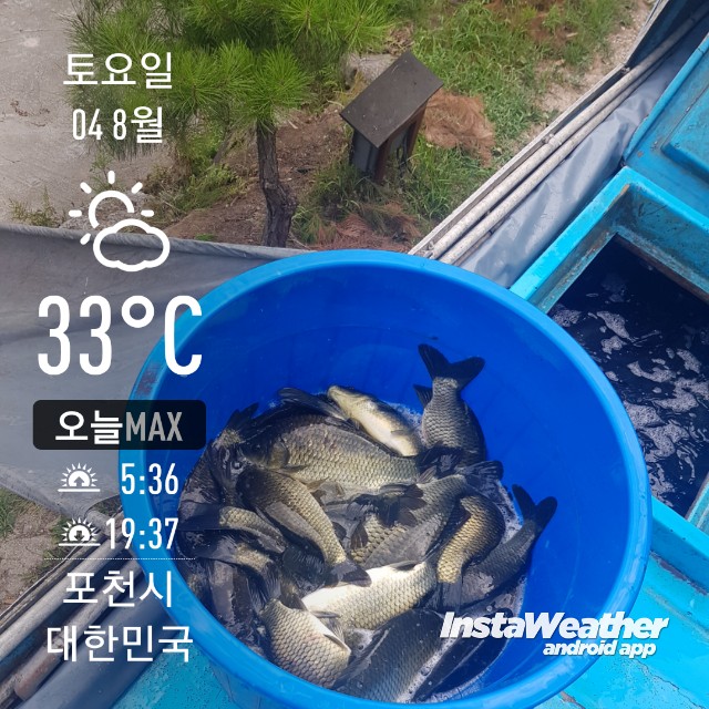 instaweather_20180804_111228.jpg