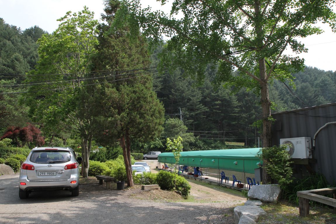 376.JPG