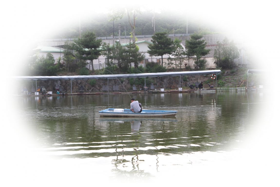 IMGL4779.JPG