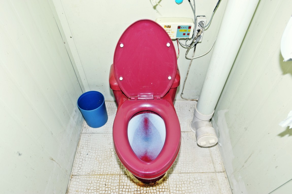 44.jpg
