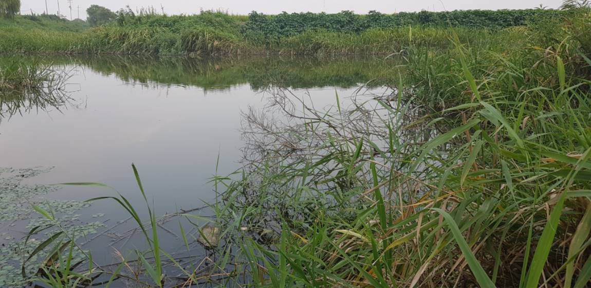 20190820_171823.jpg
