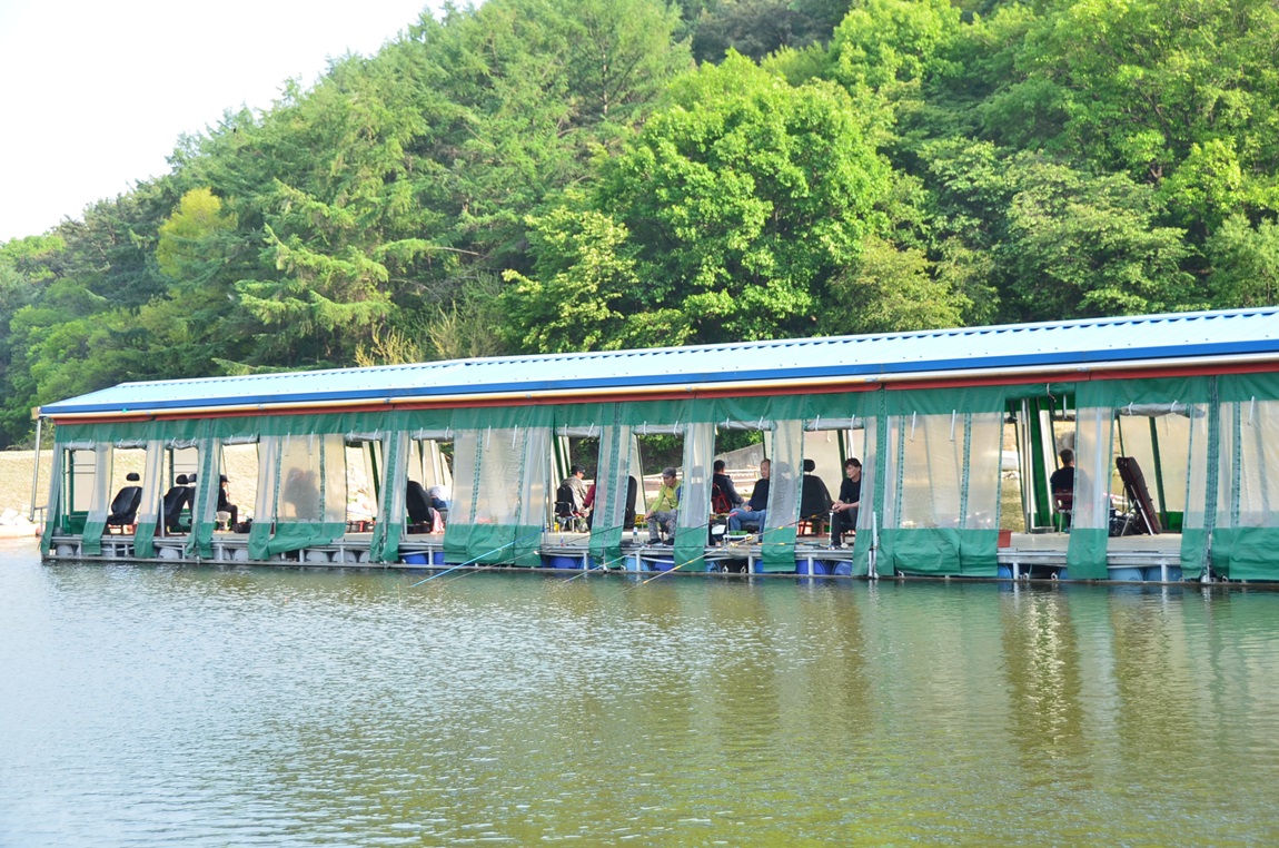 DSC_8221.JPG