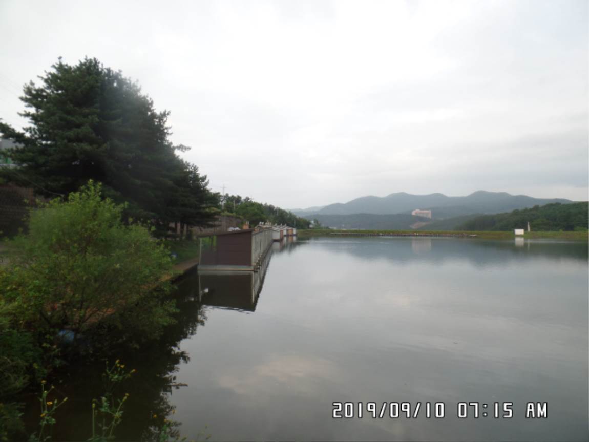 SAM_0057.JPG