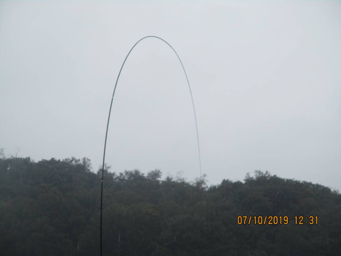 IMG_2507.JPG