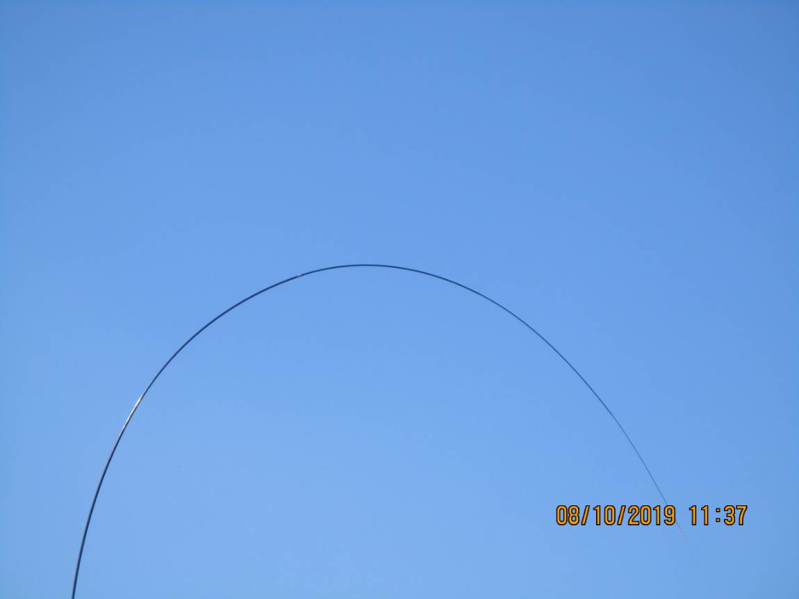 IMG_2519.JPG