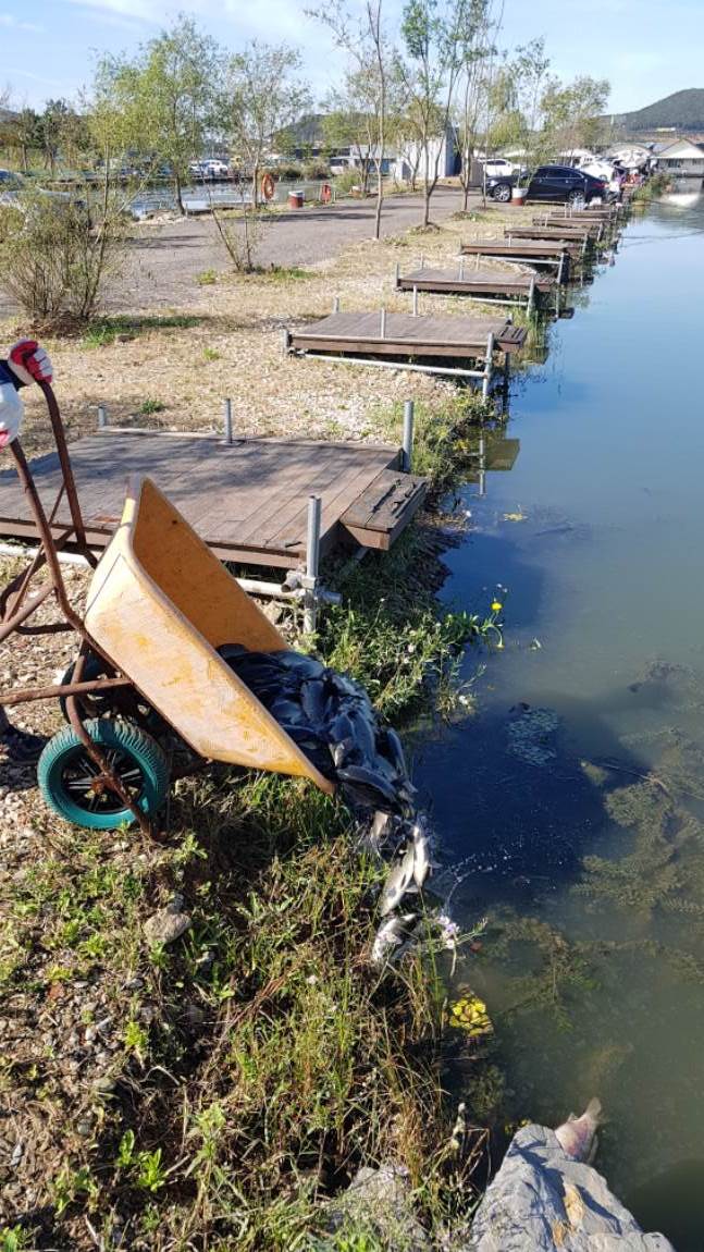 20191009_102232.jpg