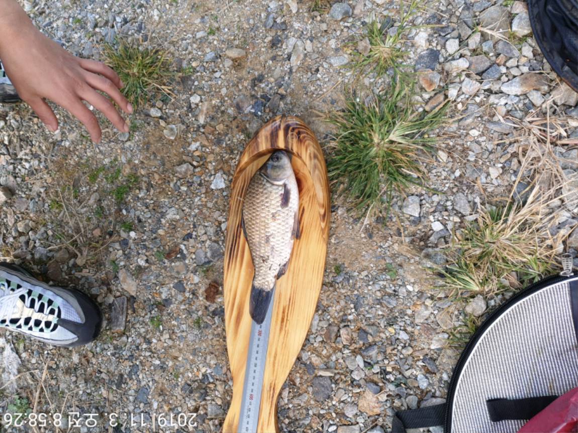 TimePhoto_20191103_085826[1].jpg