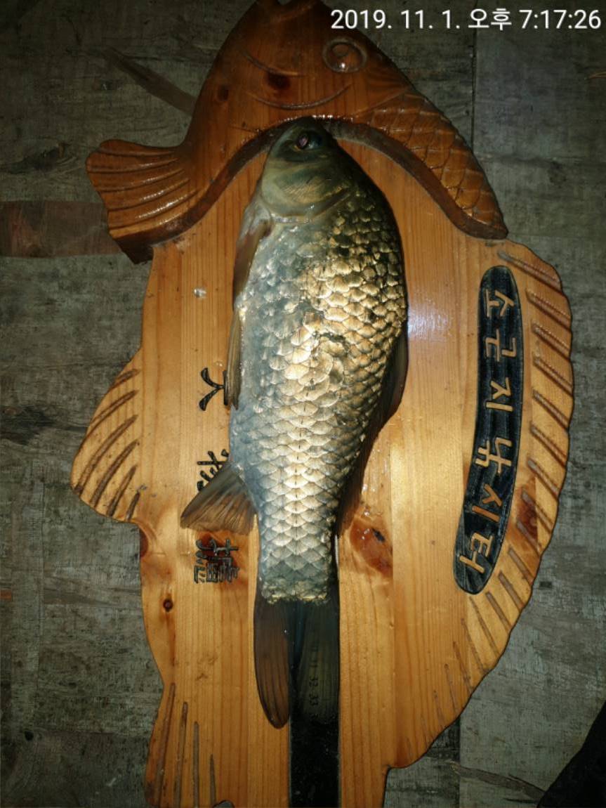 TimePhoto_20191101_191726[1].jpg