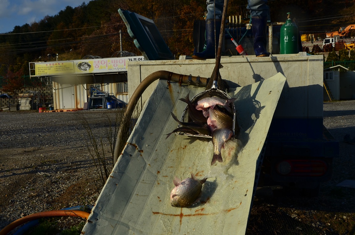 DSC_2310.JPG