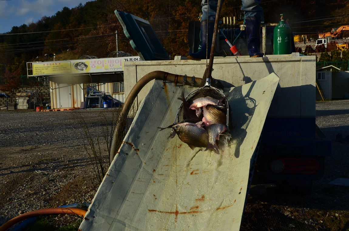 DSC_2309.JPG