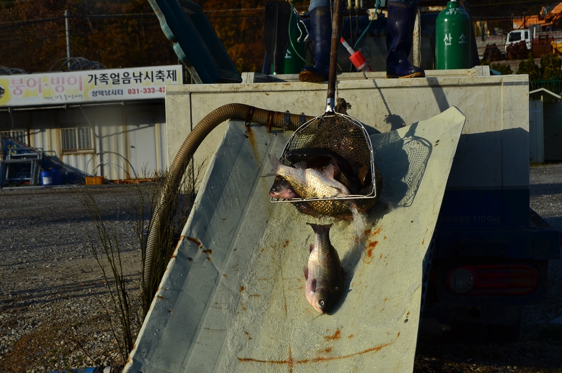DSC_2321.JPG