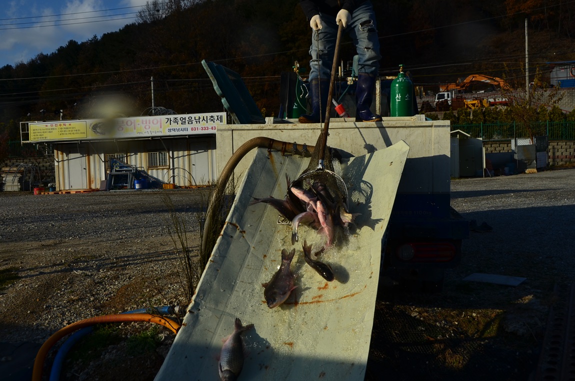 DSC_2317.JPG