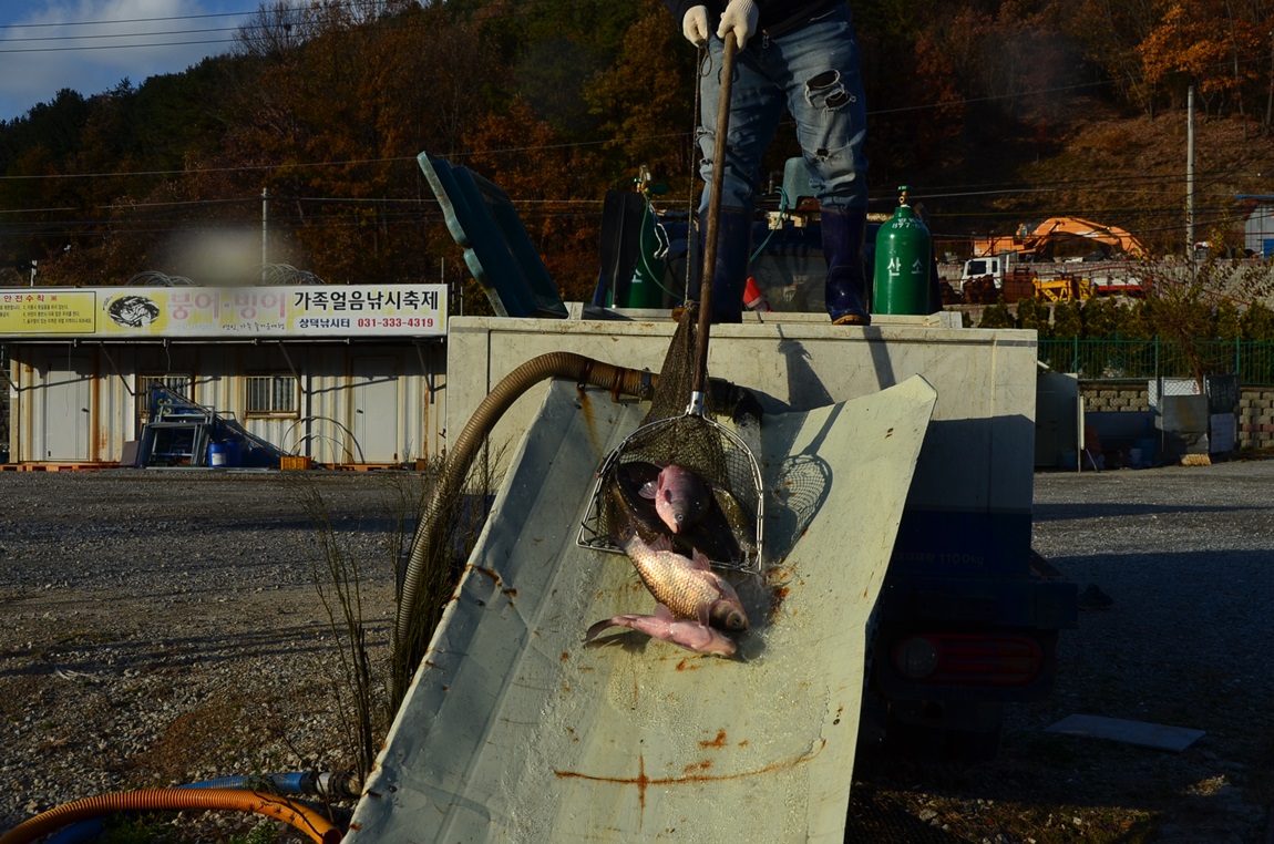 DSC_2325.JPG