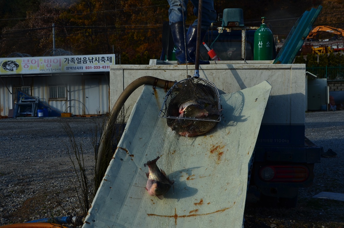 DSC_2333.JPG