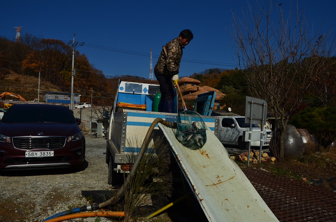 DSC_2383.JPG