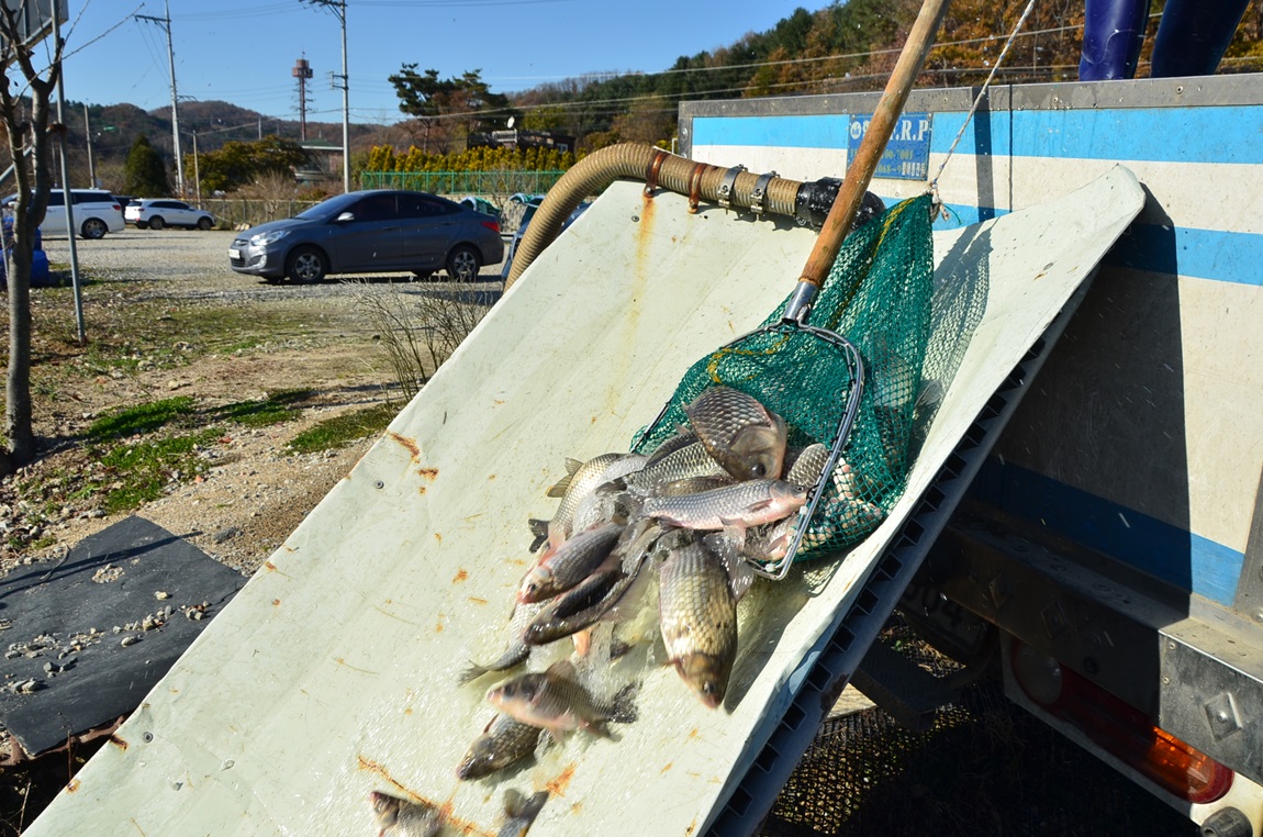 DSC_2387.JPG
