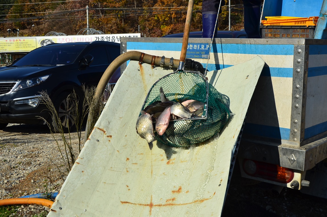 DSC_2392.JPG