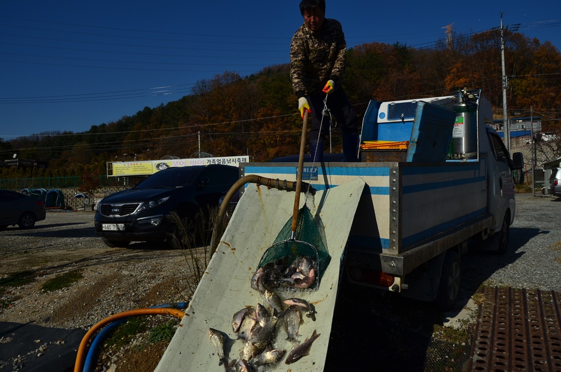 DSC_2400.JPG