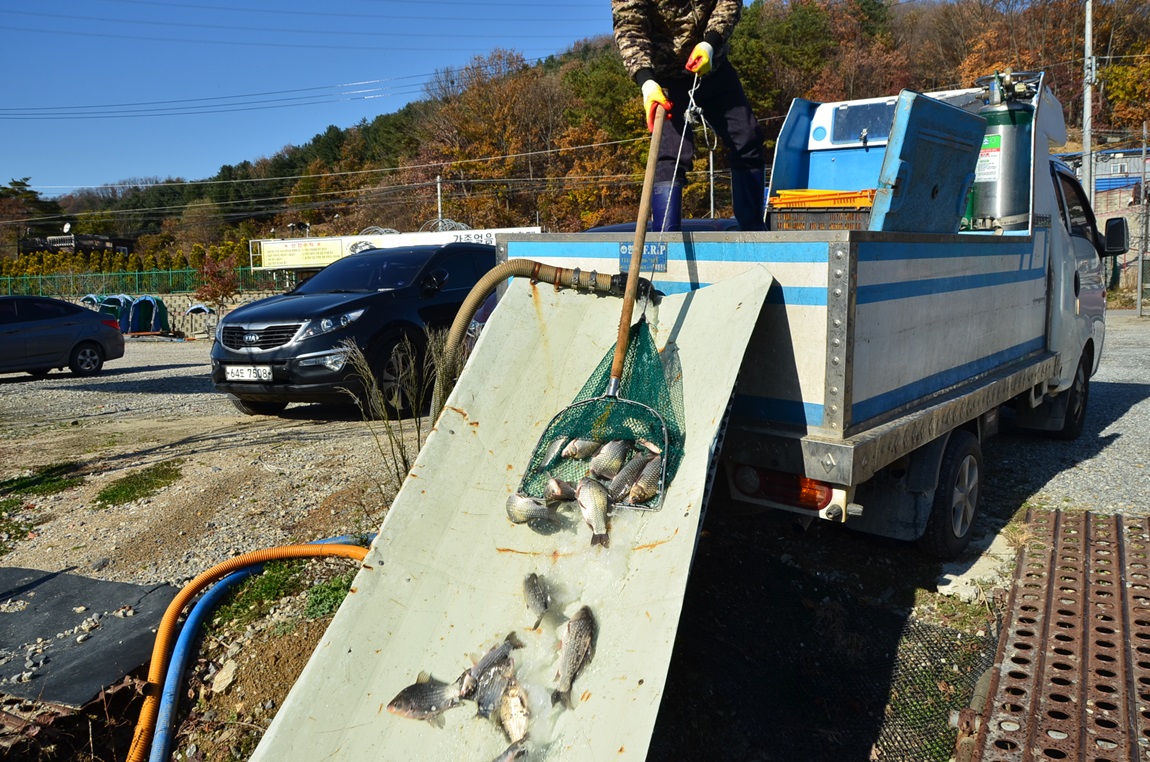 DSC_2397.JPG