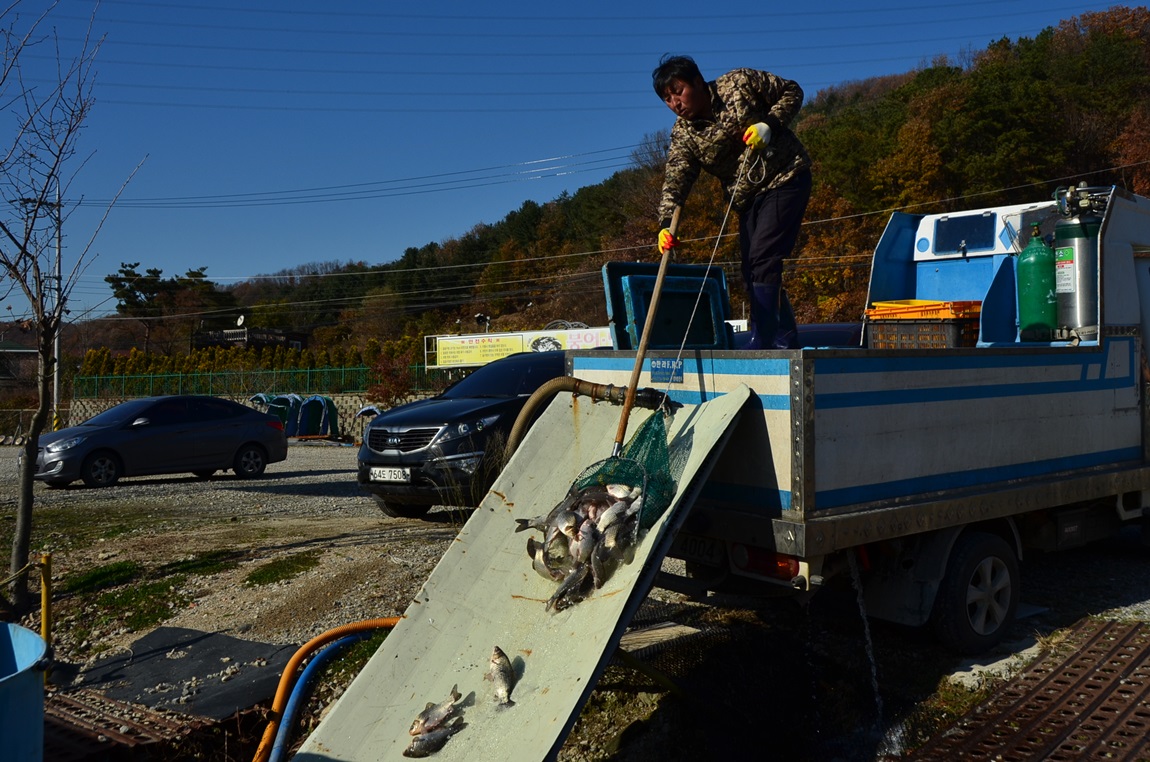DSC_2418.JPG