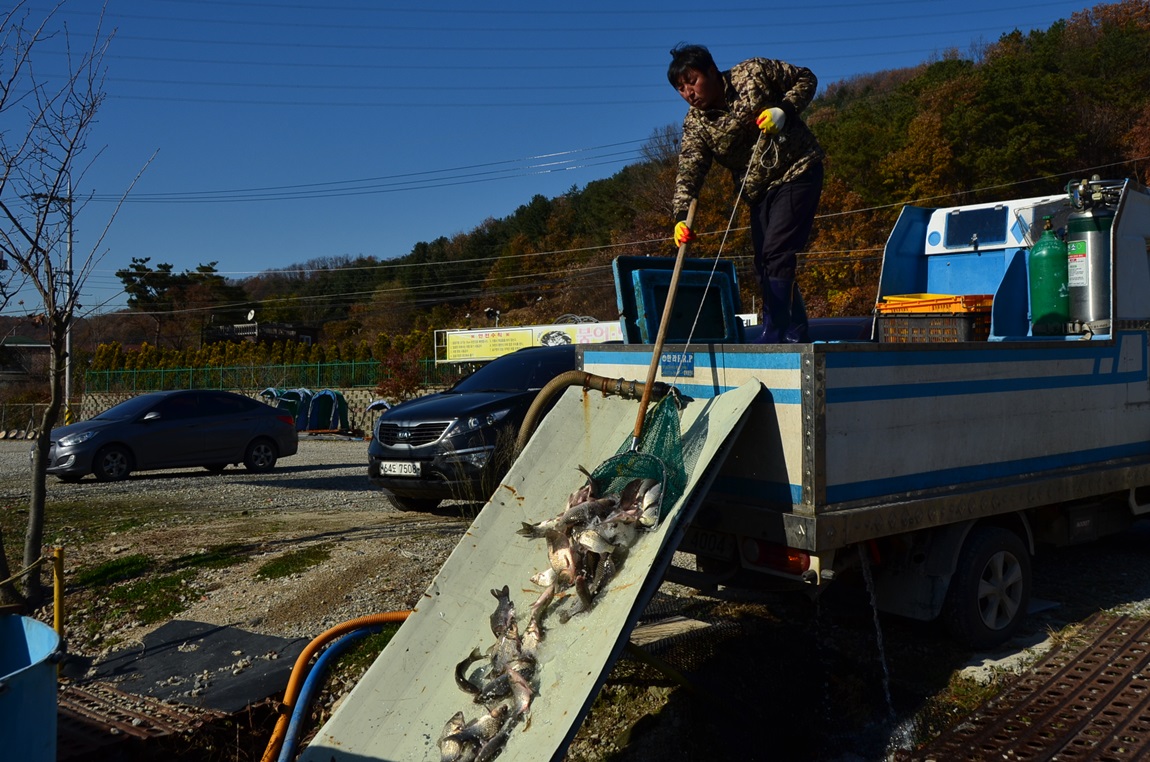 DSC_2419.JPG