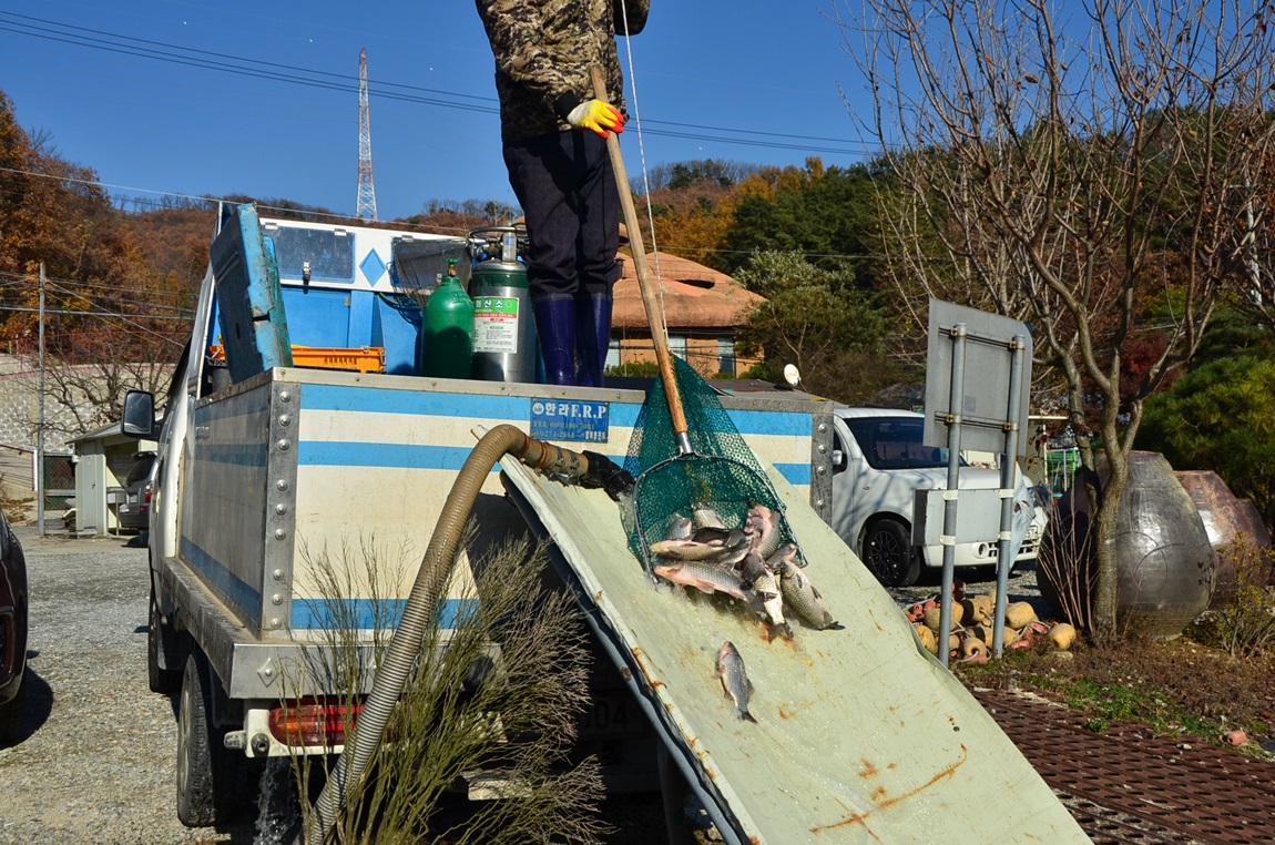 DSC_2421.JPG