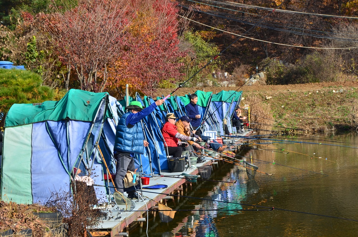 DSC_2215.JPG