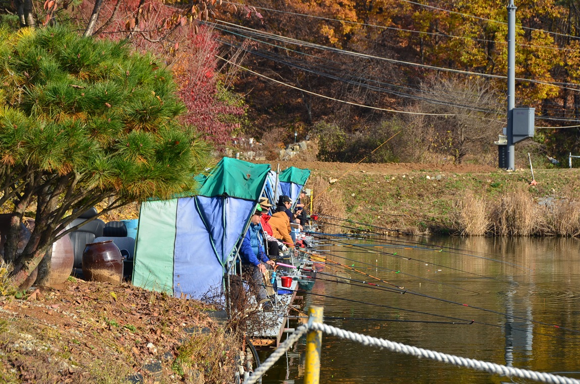 DSC_2245.JPG