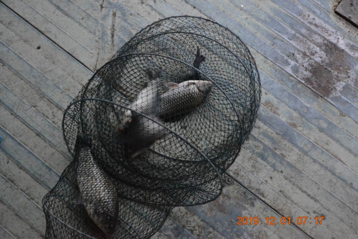 DSC_0003.JPG